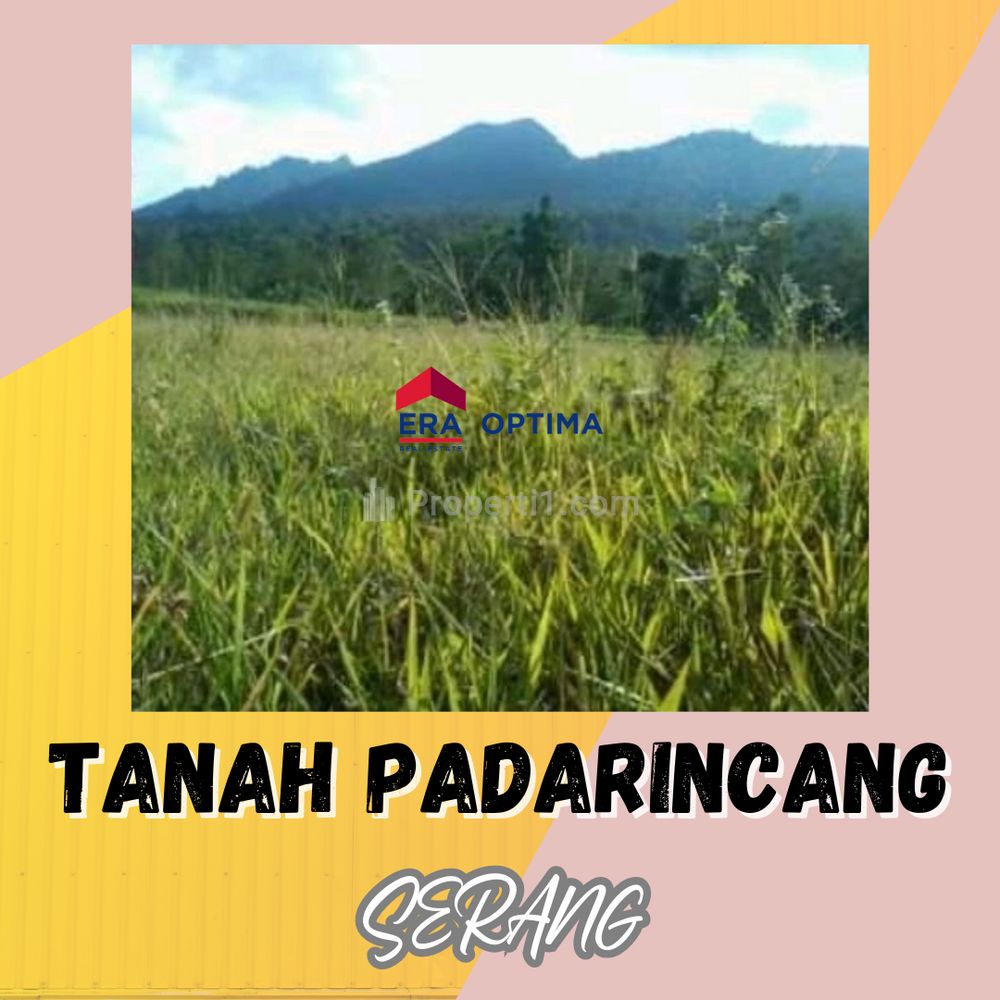 Dijual Tanah di Padarincang, Serang, Banten - Luas 37.432 m2