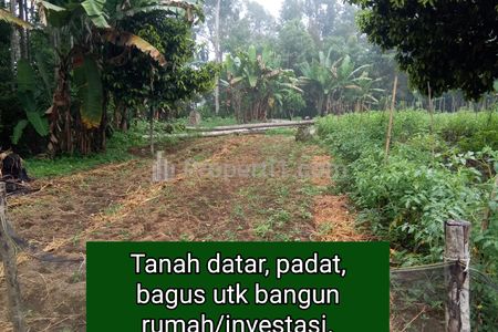 Jual Tanah di Koto Tuo Kec. Harau Payakumbuh Kab. 50 Kota - Luas 467 m2 SHM