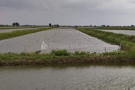 Dijual Tanah Tambak Pinggir Jalan Tanggul Kiajaran Kulon dan Jalan Petamina Kiajaran Kulon Lohbener Indramayu