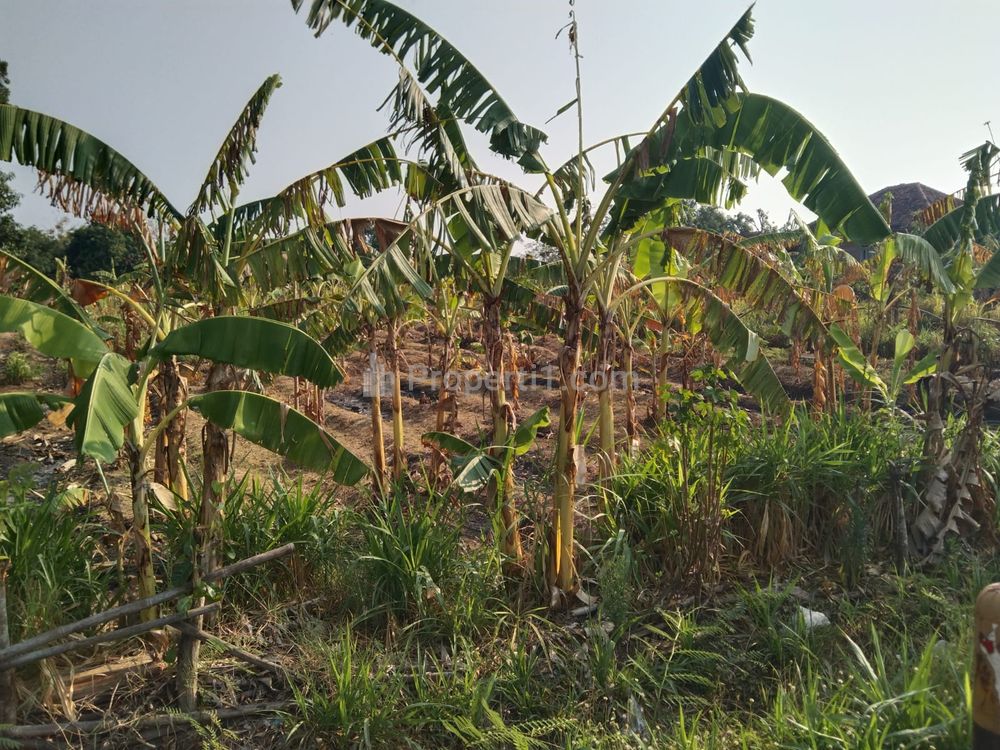 Dijual Tanah untuk Usaha, Industri, dan Gudang di Pinggir Jalan Raya Subang Cikamurang