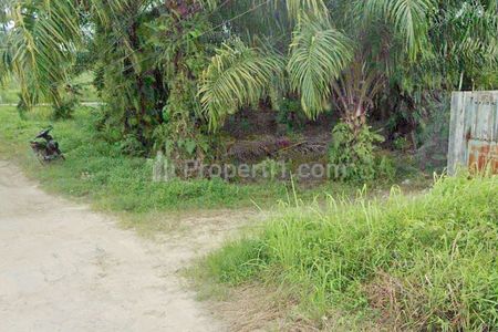 Tanah Dijual Pinggir Jalan di Kota Dumai Riau Dekat Terminal Bus Dumai, RS Awal Bros Dumai, Ramayana Plaza Dumai, Citimall Dumai