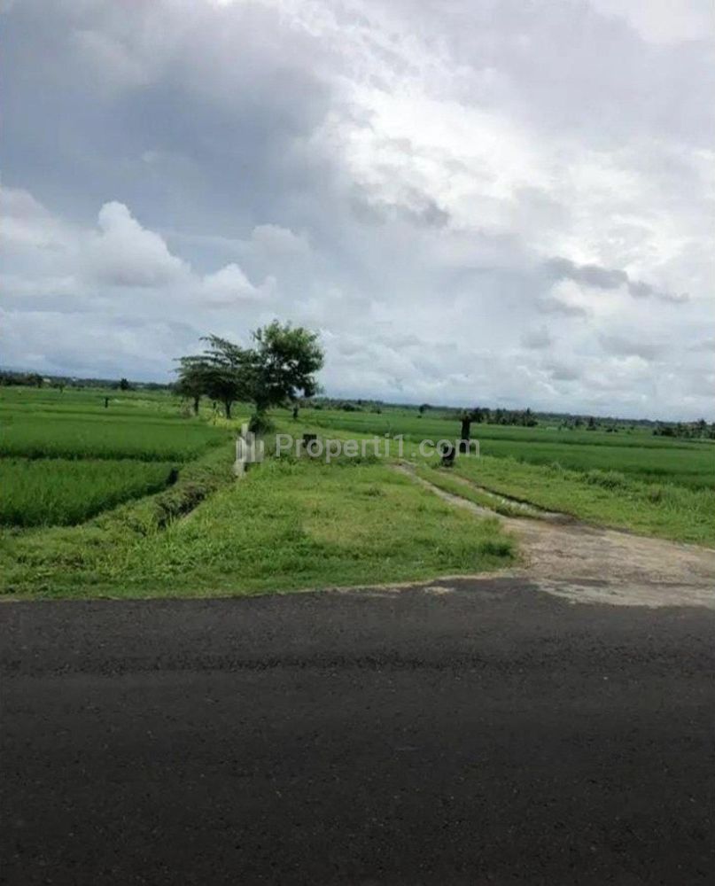 Jual Tanah Murah Sangat Bagus di Beraban Tabanan Bali