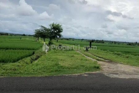 Jual Tanah Murah Sangat Bagus di Beraban Tabanan Bali