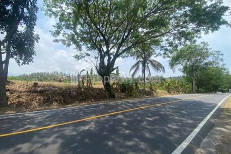 Jual Cepat Tanah Luas 2200 m2 di Antap Selemadeg Barat Tabanan Bali