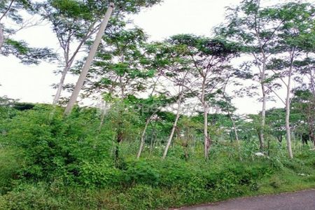 Jual Tanah di Tegalrejo Dringu Kabupaten Probolinggo