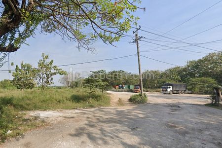 Tanah Dijual di Nol Jalan Raya Bungah Gresik - Luas 11.000m2 SHM