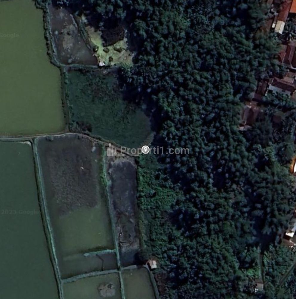 Jual Tanah Sangat Murah di Daerah Watu Agung Kabupaten Gresik - Luas 1.730m2 SHM