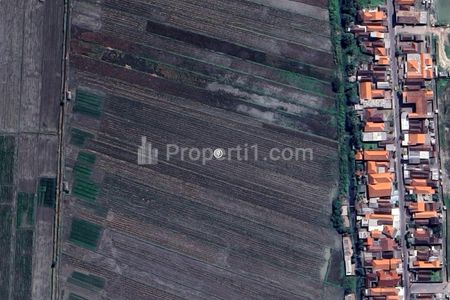 Jual Tanah Murah Area Persawahan di Cemandi Kabupaten Sidoarjo - Luas 2030m2 SHM