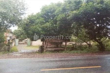 Jual Tanah Luas 8.460 m2 SHM di Jalan Raya Banyuwangi Kabupaten Situbondo