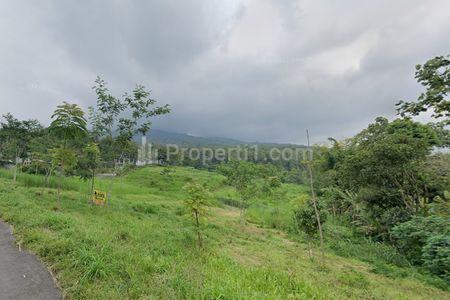 Jual Tanah Sangat Murah Dekat Taman Safari di Prigen Pasuruan