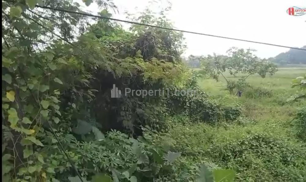 Tanah Dijual di Pinggir Jalan Raya Serang Cibarusah Bekasi - Cocok untuk Bangun Industri dan Gudang