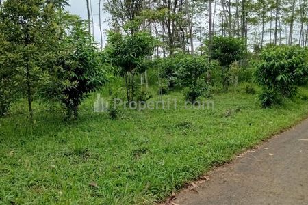 Jual Cepat Tanah Kosong Murah di Jalan Kabandungan Kalapanunggal Desa Tugubandung, Sukabumi