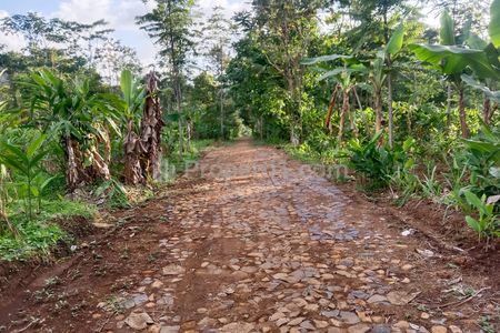 Dijual Tanah Murah 99 Juta Dekat Candi Cetho Kemuning di Jenawi Karanganyar Solo Jawa Tengah, Luas 500m2