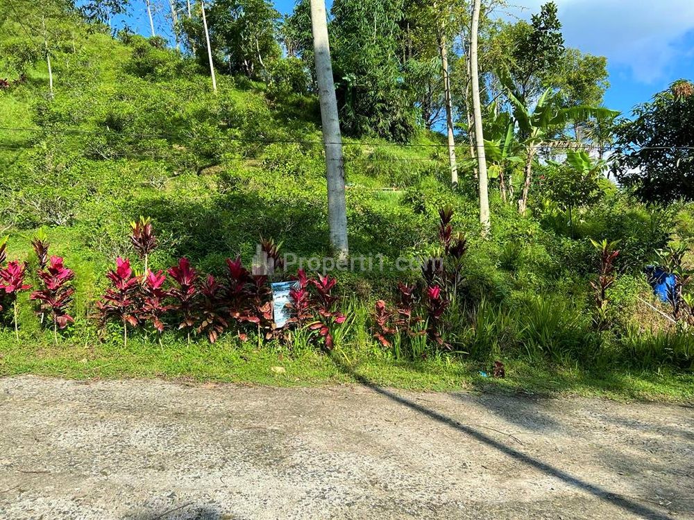 Jual Tanah Strategis Dibangun Villa di Tawangmangu Dekat Pasar Kemuning Karanganyar Jawa Tengah