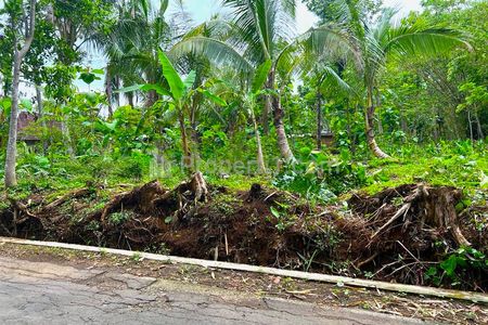 Jual Tanah Datar Strategis dekat Pasar Batujamus Kerjo Karanganyar Jawa Tengah