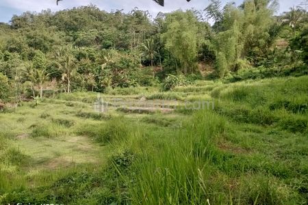Dijual Murah Tanah Luas 1 Hektar di Desa Cijangkar Nyalindung Sukabumi