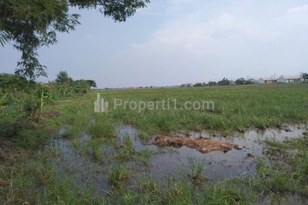 Dijual Tanah untuk Bangun Perumahan Subsidi di Jalan Sukamanah Sukahurip, Sukatani, Bekasi