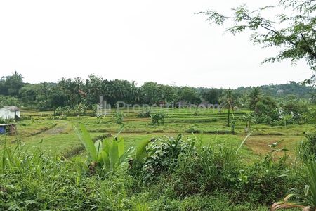 Tanah Dijual di Tamansari Bogor Dekat Desa Wisata Pasireurih, SMAN 1 Tamansari, Pusdikintel Kodiklat TNI AD, Bogor Nirwana Residence