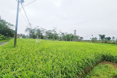 Dijual Tanah Sawah 2 Petak di Caringin Sukabumi Dekat SMP Negeri 1 Caringin, Kantor Desa Caringin Wetan, Polsek Caringin, RS Betha Medika