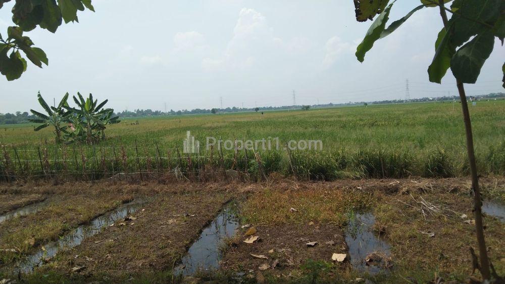 Tanah Dijual untuk Perumahan Subsidi di Pinggir Jalan Katimaha Karangsetia Bekasi
