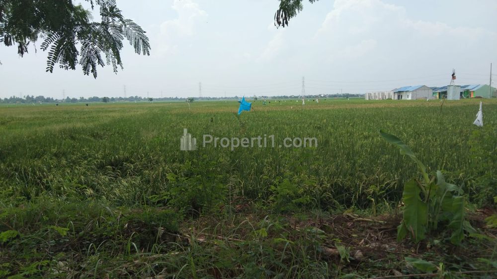Tanah Dijual untuk Perumahan Subsidi di Pinggir Jalan Katimaha Karangsetia Bekasi