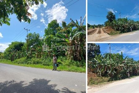 Jual Tanah Sangat Luas Murah di Aimas, Klamasen, Mariat, Sorong