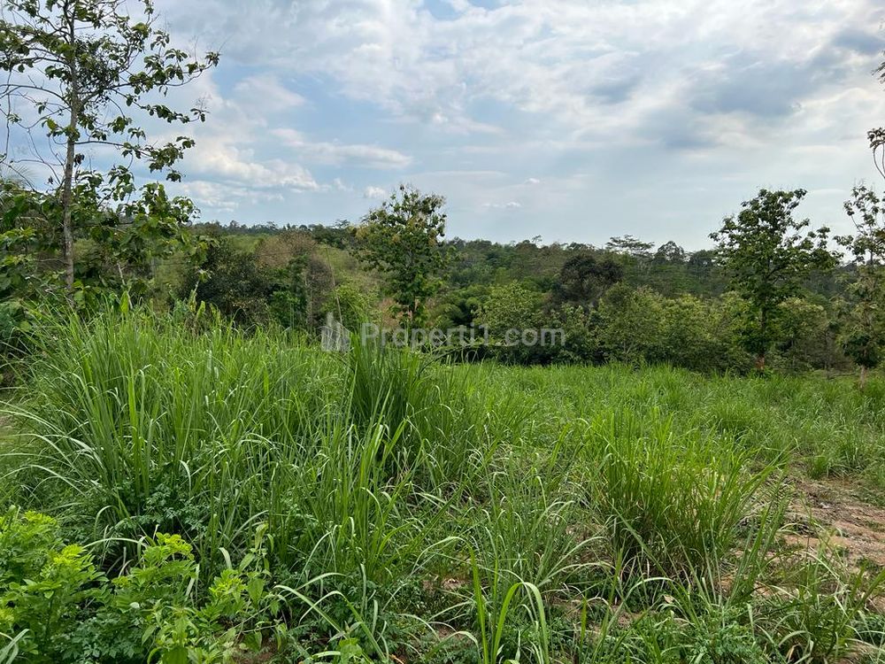 Dijual Tanah 1,4 Hektar di Tepi Jalan Raya Karangpandan, Karanganyar, Solo, Jawa Tengah