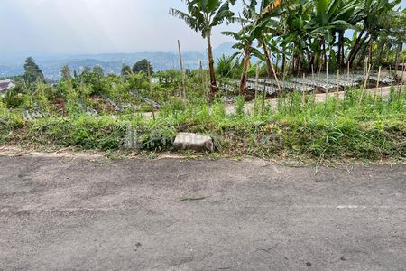 Jual Tanah Murah dekat Jumog Kemuning Ngargoyoso Karanganyar Jawa Tengah