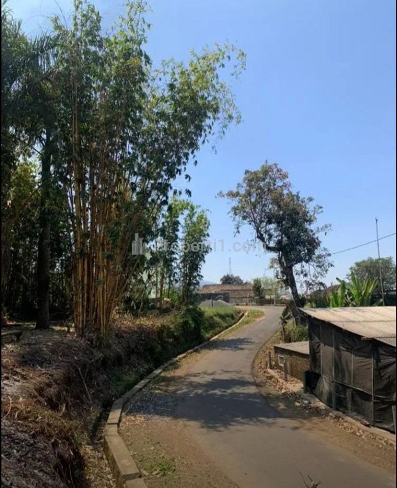 Jual Tanah Luas 3.050 m2 Cocok untuk Villa di Tulungrejo Bumiaji Kota Batu Malang