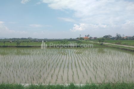 Jual Lahan Tanah Persawahan Luas di Pinggir Jalan Tegal Sumedang, Rancaekek, Bandung