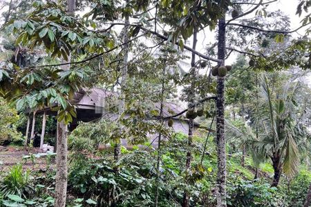 Dijual Tanah Kebun Durian Bonus Rumah Hanya 275 Juta di Kemuning Karanganyar Solo Jawa Tengah