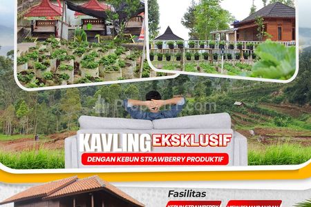 Jual Tanah Kavling Vila dan Kebun Strawberry Granada Hills Ciwidey Bandung