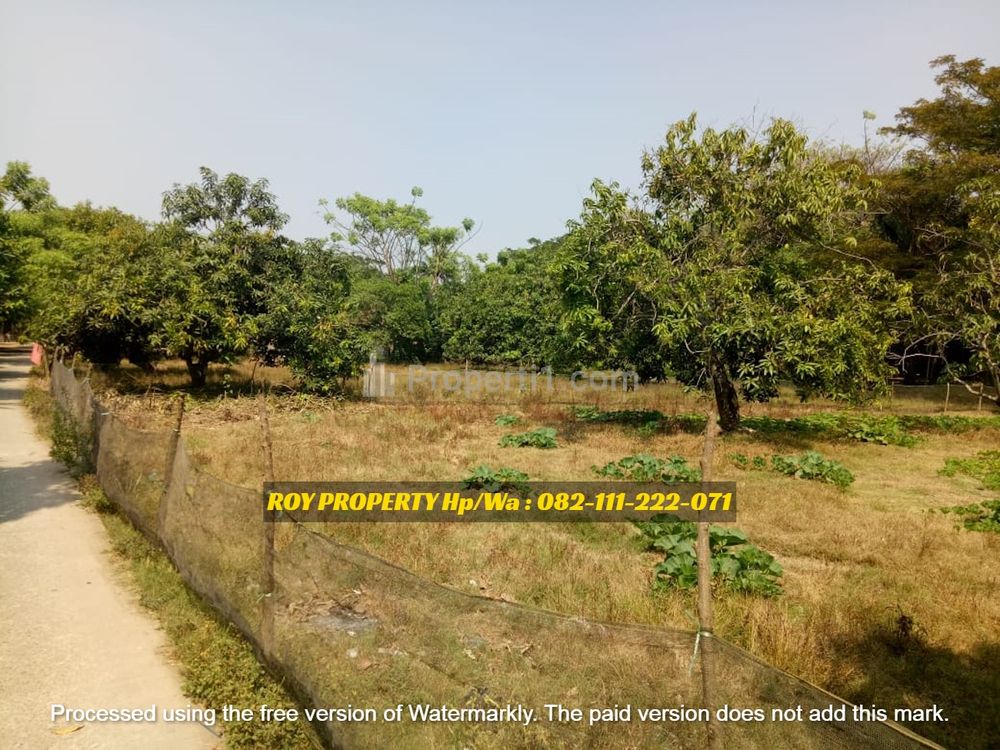 TERMURAH Dijual Cepat Tanah di Pakisjaya Karawang Luas 4.950 m2 Jawa Barat - Pinggir Jalan Utama