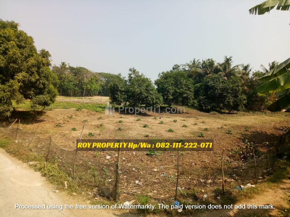 TERMURAH Dijual Cepat Tanah di Pakisjaya Karawang Luas 4.950 m2 Jawa Barat - Pinggir Jalan Utama