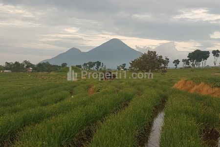 Jual Tanah Istimewa Luas 2.560 m² dekat Tempat Wisata di Desa Maron, Pacet, Mojokerto, Jawa Timur