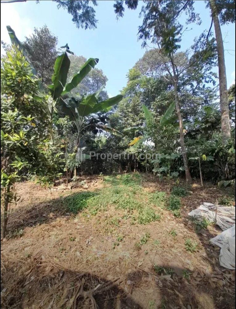 Jual Tanah Sangat Murah Bagus di Desa Penanggungan Trawas Mojokerto Luas 987 m2 SHM