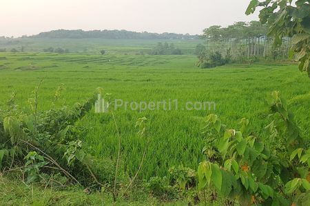 Tanah Dijual 12.800 m2 di Jonggol Bogor Dekat Rencana Proyek Jalan Tol JORR 3 (Sentul Selatan-Karawang Barat) Cocok Untuk Investasi