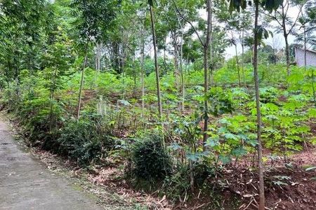 Dijual Tanah Murah 1641m² Hanya 250 Juta di Mojogedang, Karanganyar, Solo, Jawa Tengah