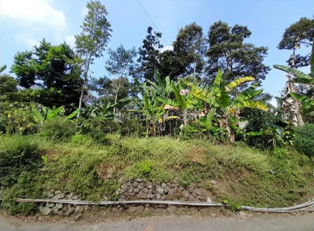 Jual Tanah Sangat Murah Bagus di Desa Penanggungan Trawas Mojokerto Luas 987 m2 SHM