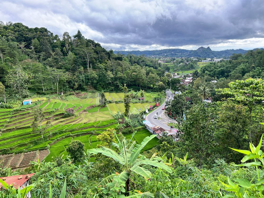 Jual Tanah Strategis Tepi Jalan Raya Tawangmangu Karanganyar Luas 3.343 m2 SHM