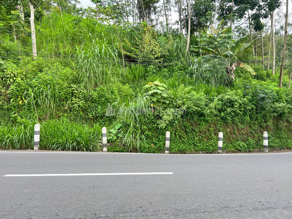 Jual Tanah Strategis Tepi Jalan Raya Tawangmangu Karanganyar Luas 3.343 m2 SHM