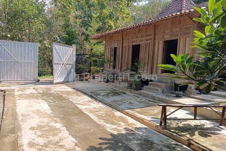 Tanah Dijual 1098 m2 di Sambi Boyolali Sudah Ada Rumah Joglo, Kandang Ayam dan Kolam Ikan Dekat Pasar Sambi, RS Asy-Syifa, Bandara Adisumarmo