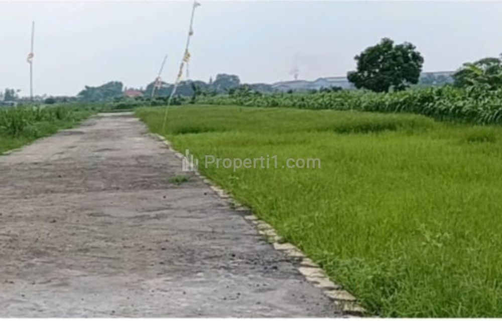 Dijual Tanah Kavling dekat Pasar Menganti Gresik, DP Ringan Tanpa Bunga