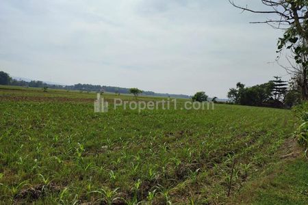 Dijual Tanah Sangat Luas di Desa Mentoro, Soko, Kabupaten Tuban