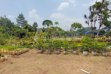  Jual Cepat Tanah Luas 2.972 m² dekat Wisata Lembang Bandung Jawa Barat