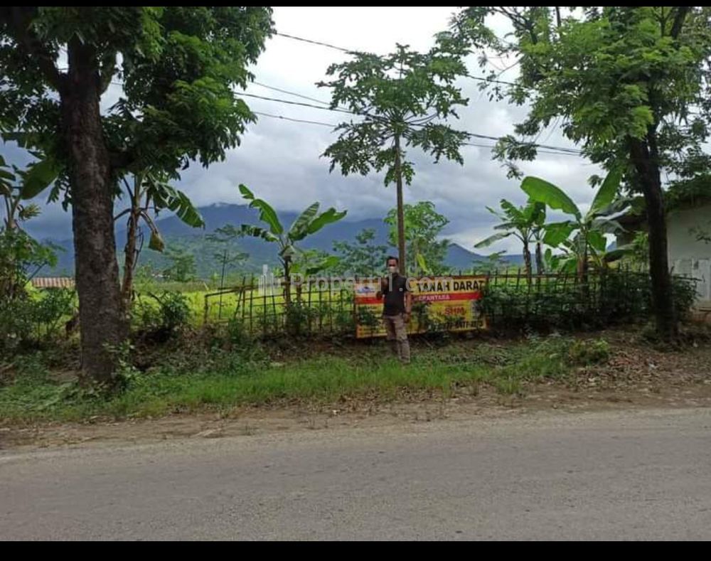 Jual Tanah Pinggir Jalan Raya Luas 5 Hektar di Cariu Bogor