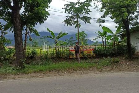 Jual Tanah Pinggir Jalan Raya Luas 5 Hektar di Cariu Bogor