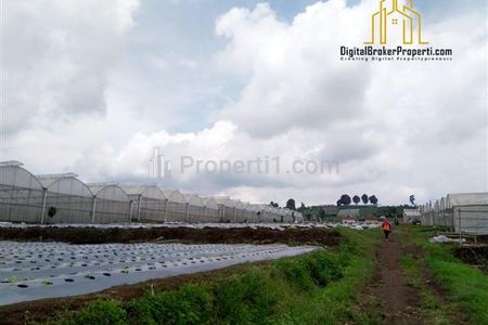 Jual Cepat Tanah Kebun Luas dan Murah di Pinggir Jalan Desa dengan View Gunung Udara Sejuk Cocok Untuk Villa di Cisarua Bandung Barat