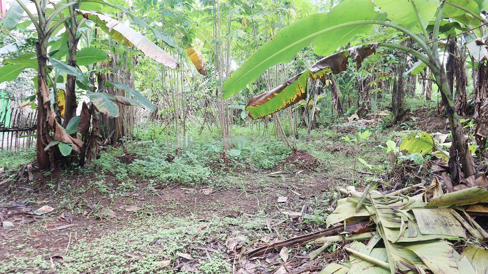 Tanah Dijual di Pancoran Mas Depok Dekat D'Kandang Amazing Farm, RS Permata Depok, Gerbang Tol Sawangan, Depok Town Center, Transmart Depok