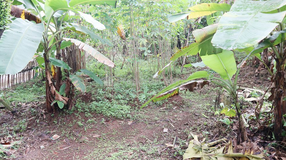Tanah Dijual di Pancoran Mas Depok Dekat D'Kandang Amazing Farm, RS Permata Depok, Gerbang Tol Sawangan, Depok Town Center, Transmart Depok